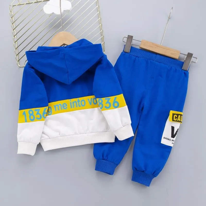 2-piece Color-block Hoodie & Pants for Toddler Boy Wholesale Children's Clothing