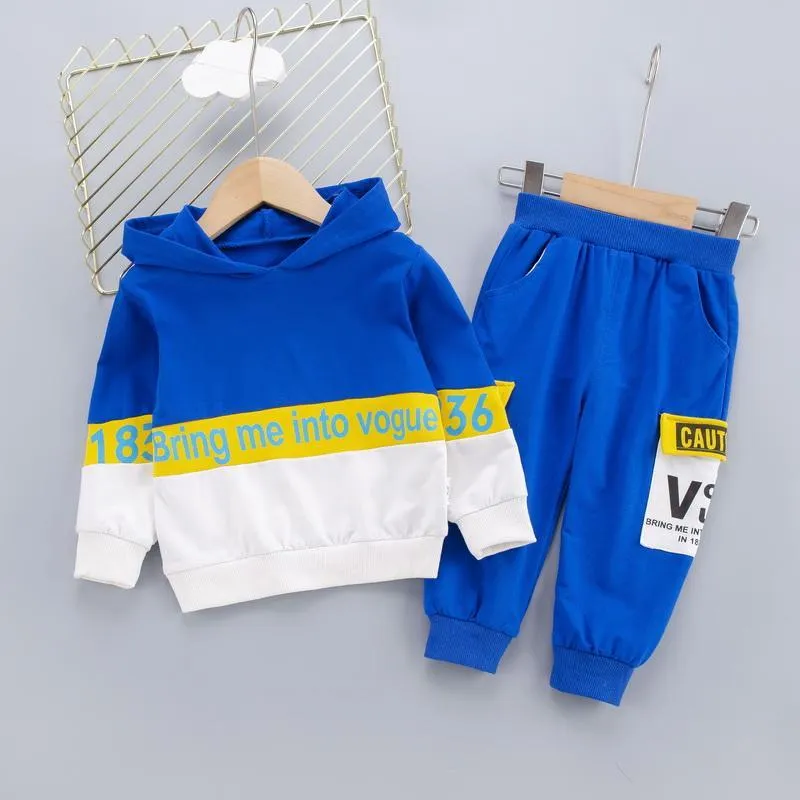 2-piece Color-block Hoodie & Pants for Toddler Boy Wholesale Children's Clothing