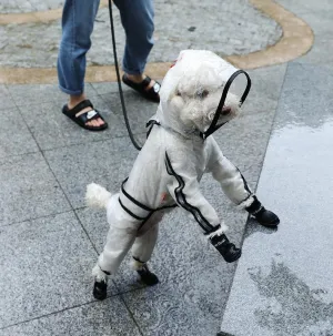 Clear Waterproof Raincoat for Pet Dogs