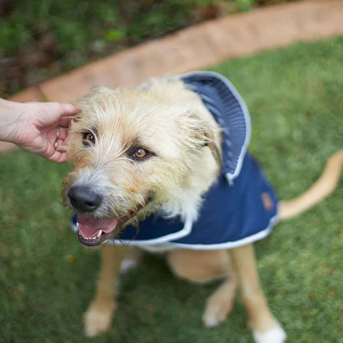 Cosy Dog Rain Coat - Lagoon