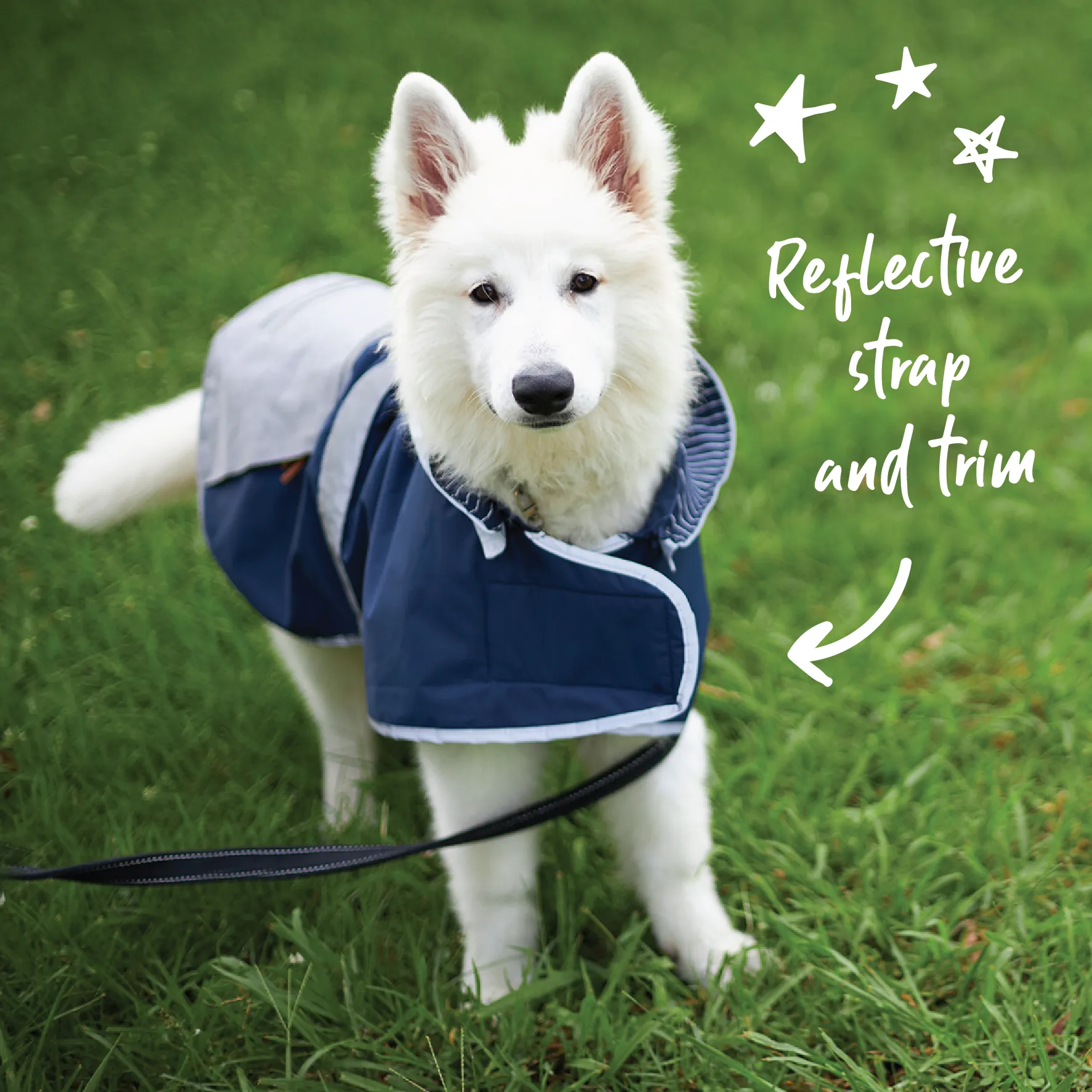 Cosy Dog Rain Coat - Lagoon