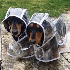 Dach Everywhere™ Transparent Dog Raincoat