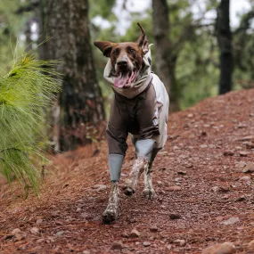 Four Leg Covered Dog Raincoat - Brown