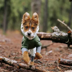 Four Leg Covered Dog Raincoat - Green