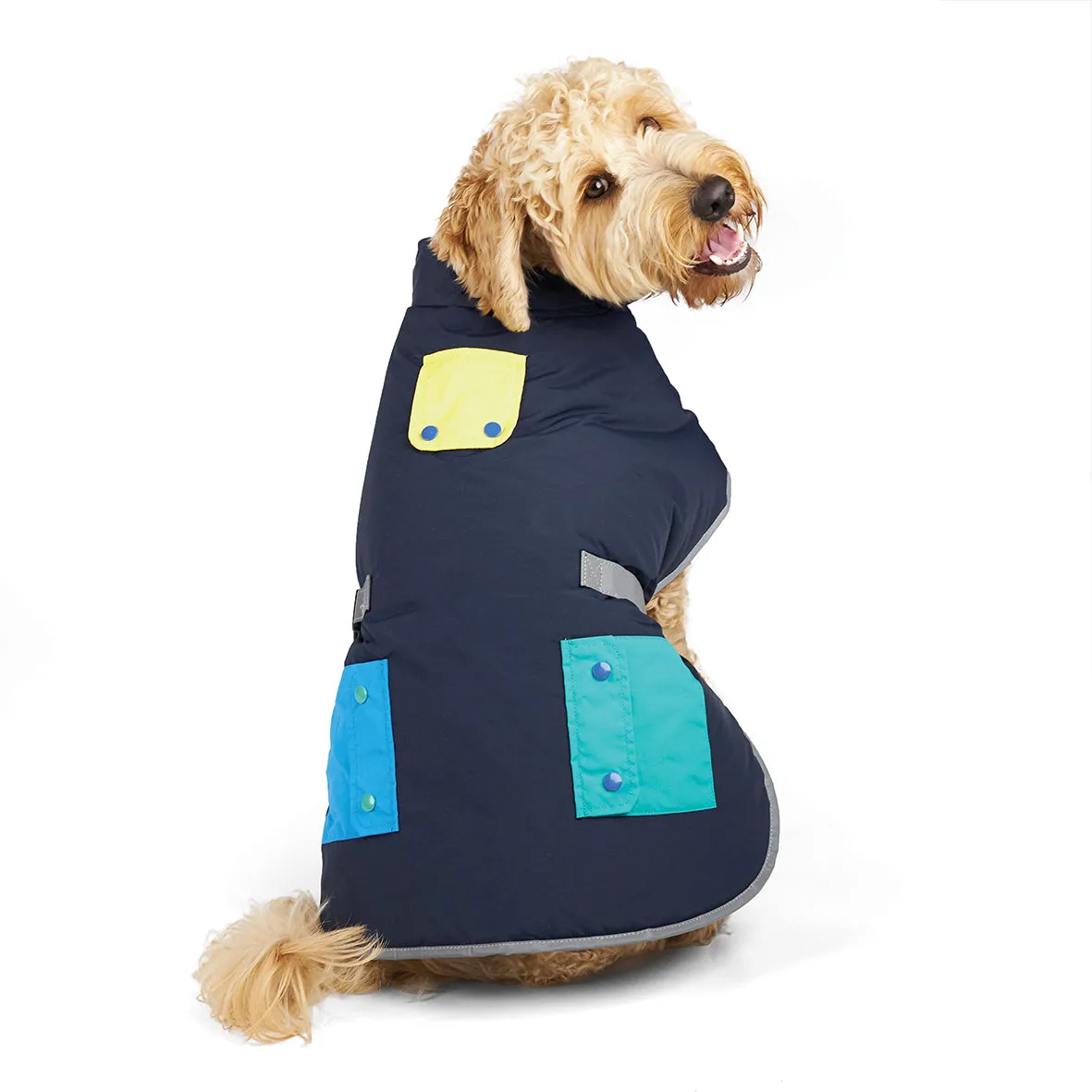 Patch Pocket Dog Coat - Benji