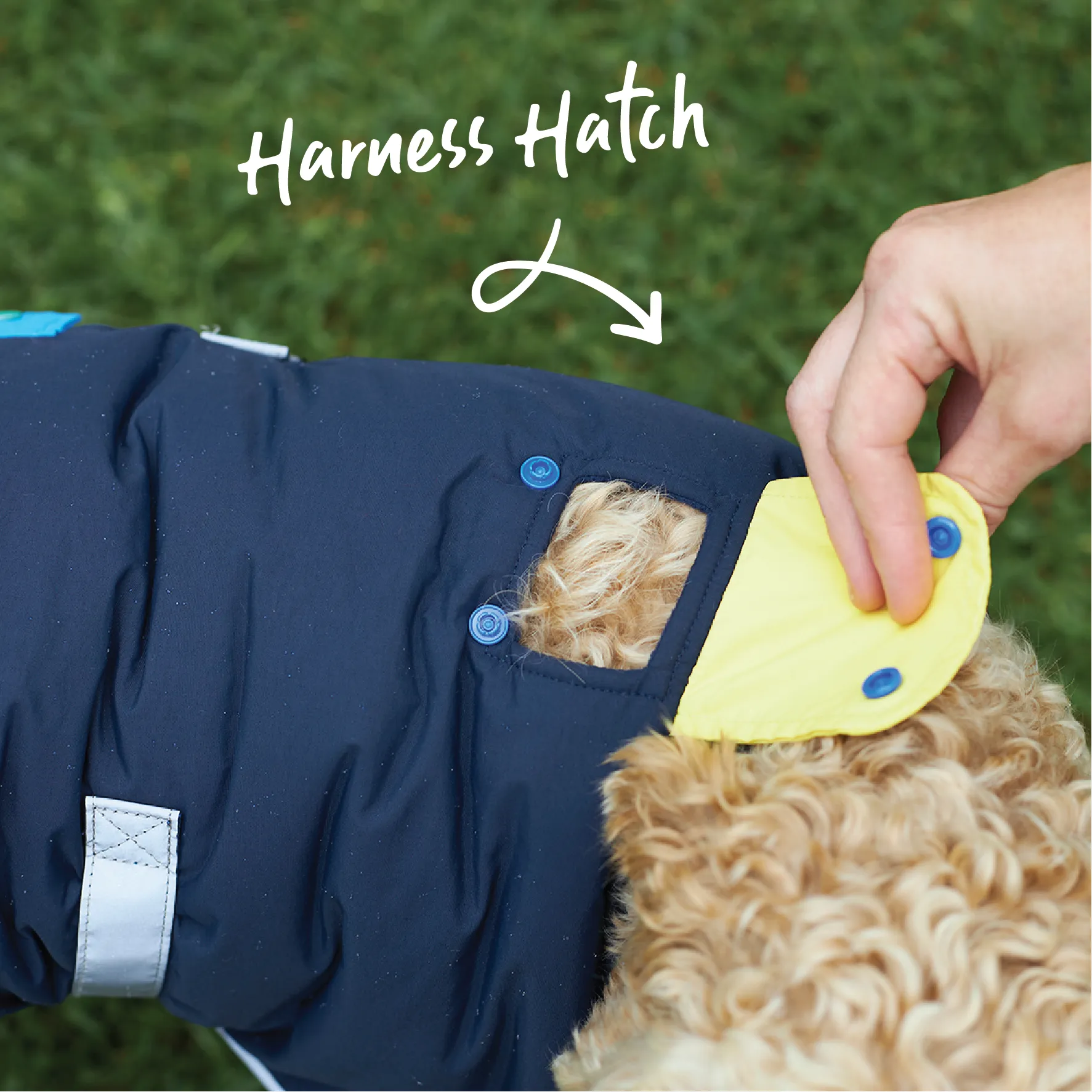 Patch Pocket Dog Coat - Benji