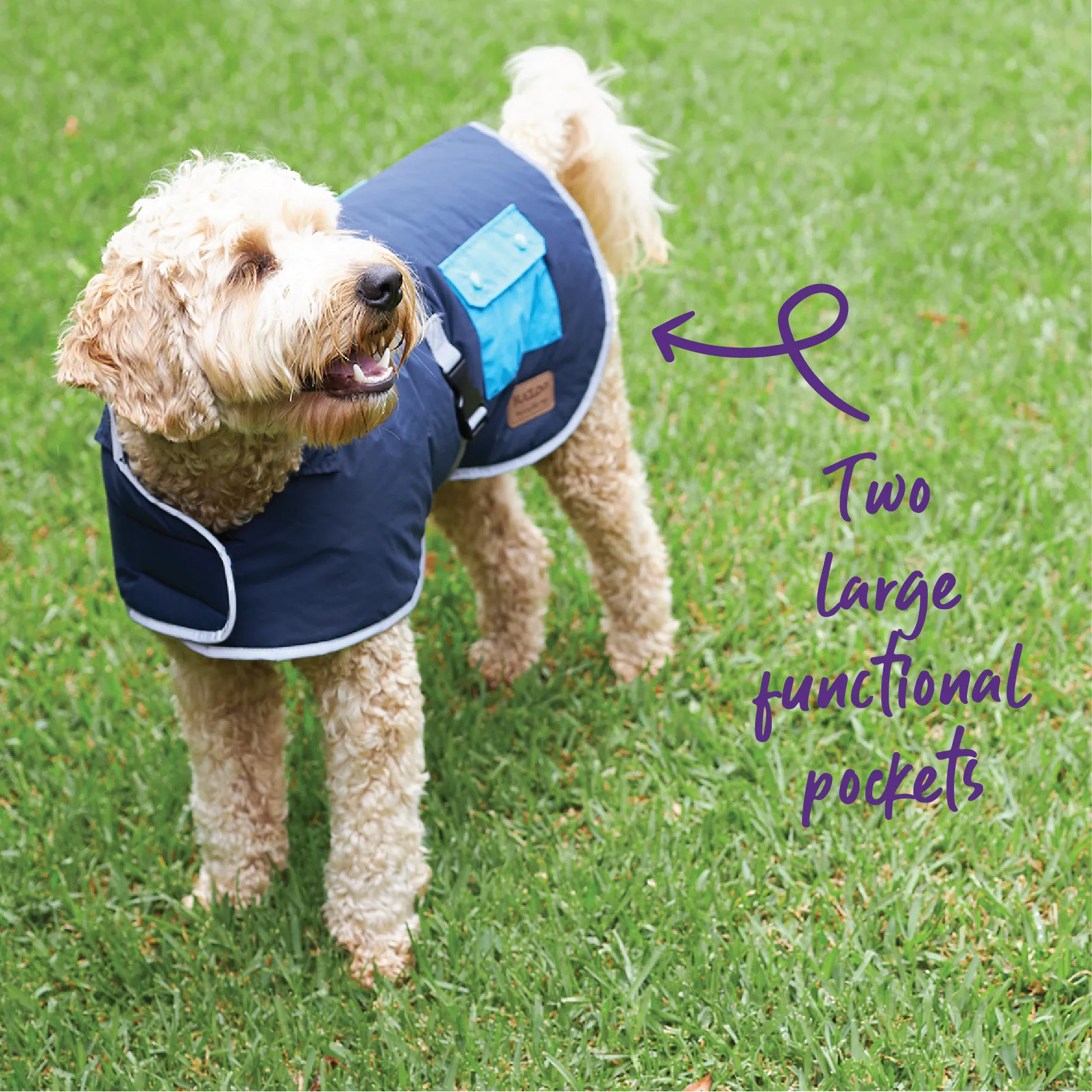 Patch Pocket Dog Coat - Benji