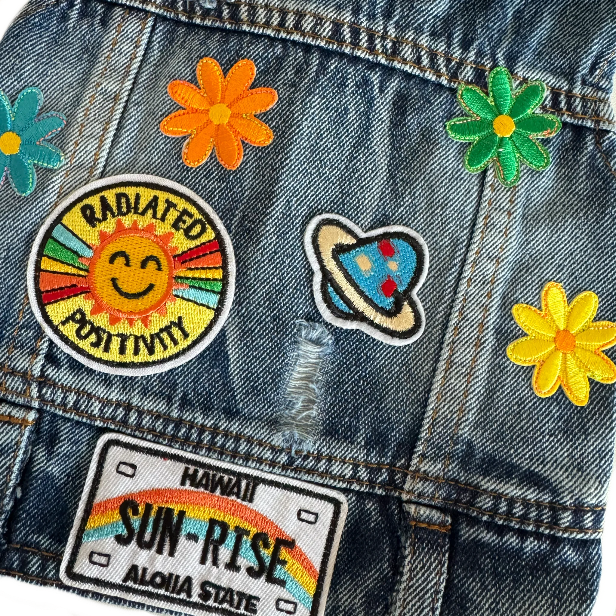 Positivity Doggy Denim Vest