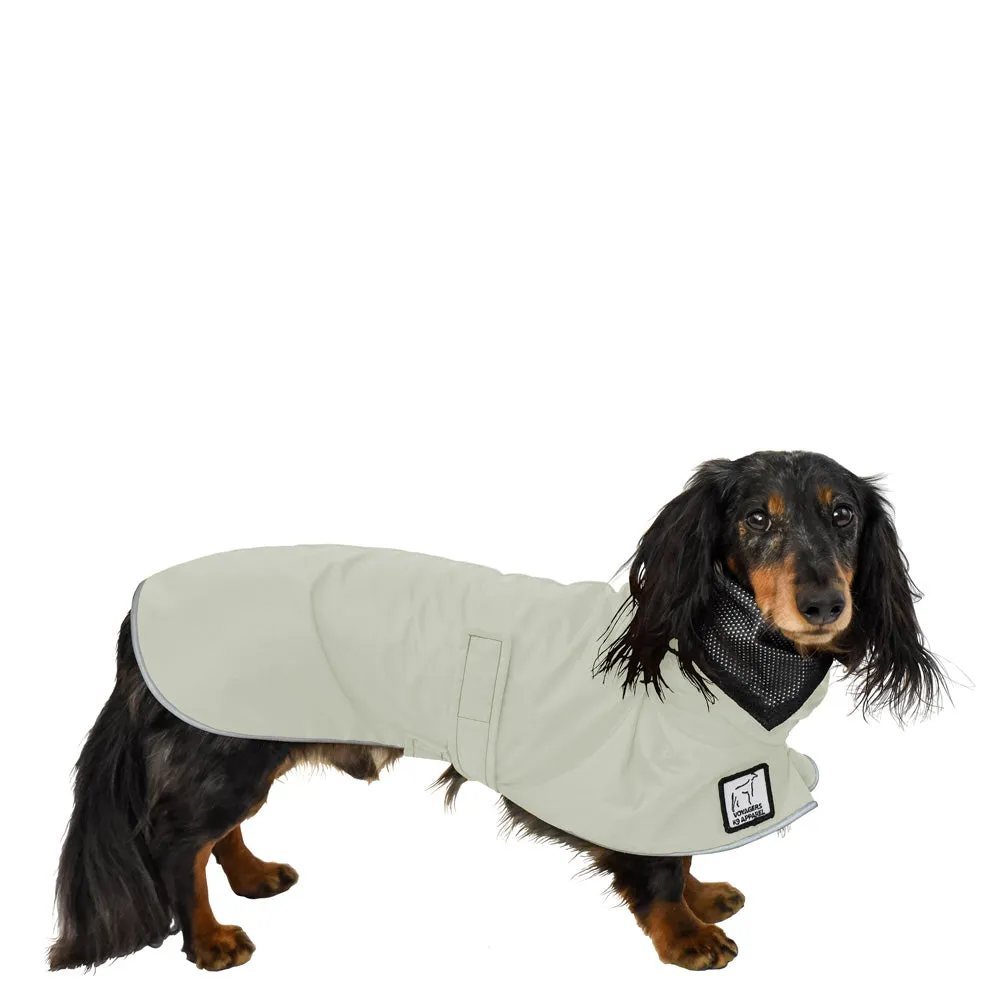 ReCoat ♻️ Dachshund Raincoat