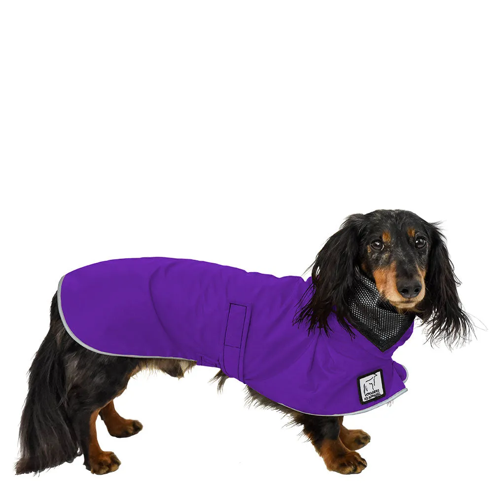 ReCoat ♻️ Dachshund Raincoat