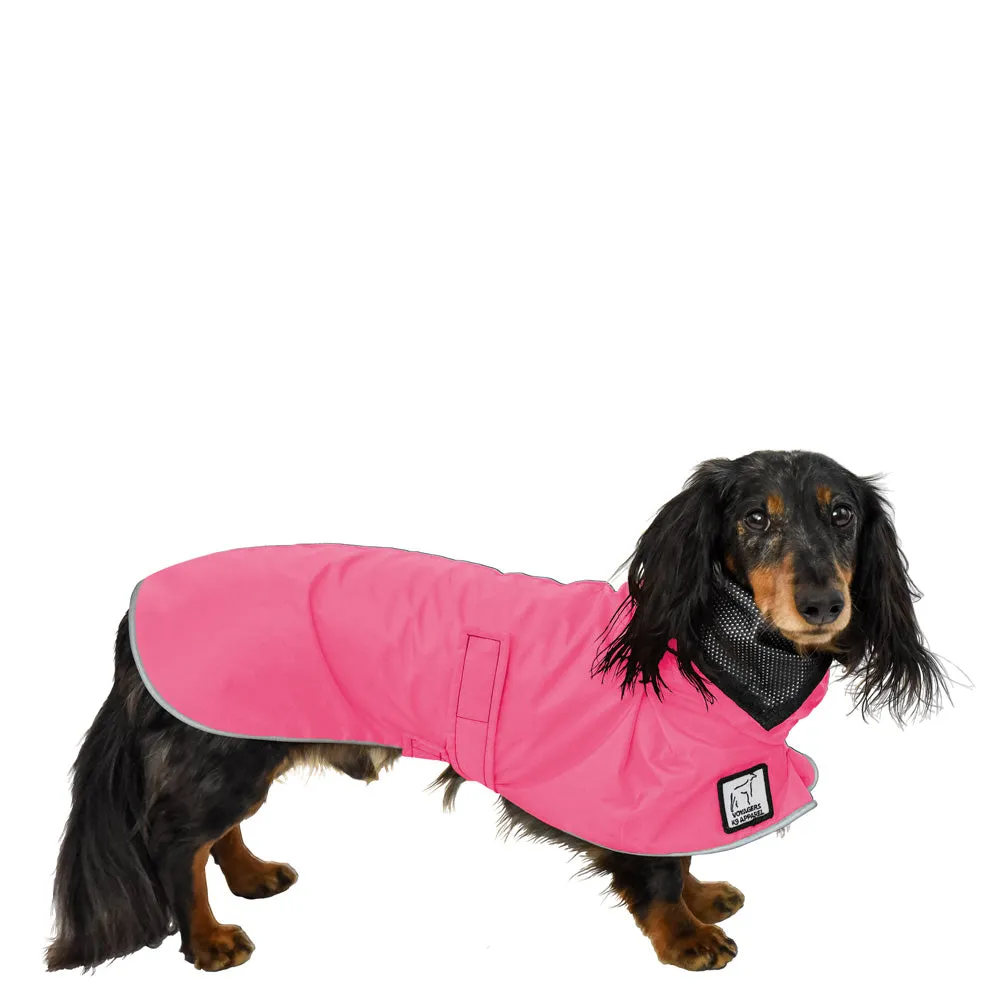 ReCoat ♻️ Dachshund Raincoat