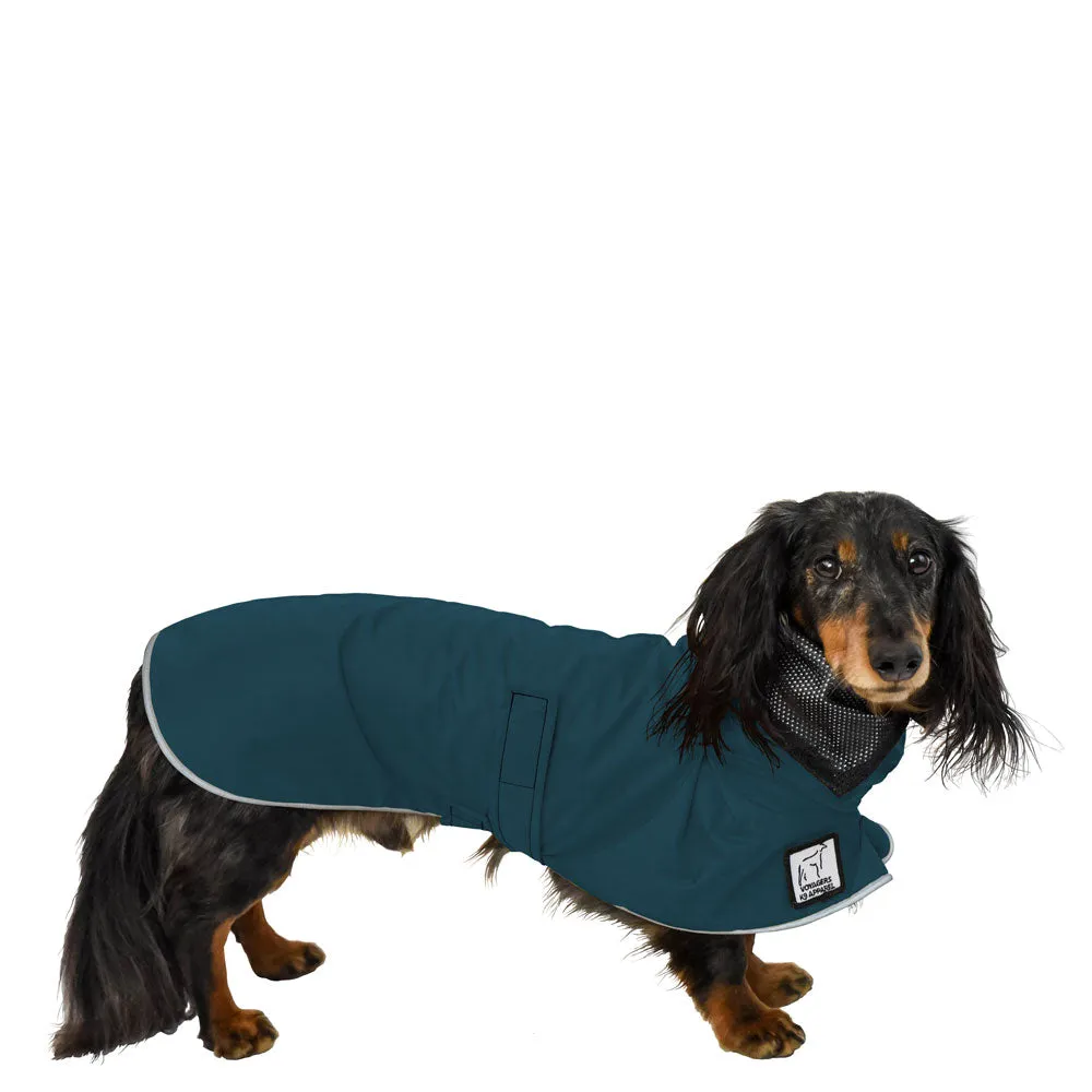 ReCoat ♻️ Dachshund Raincoat